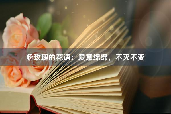 粉玫瑰的花语：爱意绵绵，不灭不变