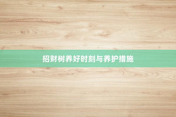 招财树养好时刻与养护措施